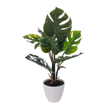 Dare2Decor 18 in. Monstera Plant x7 in White Pot, Green DA3272325